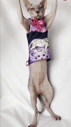Cat Corset