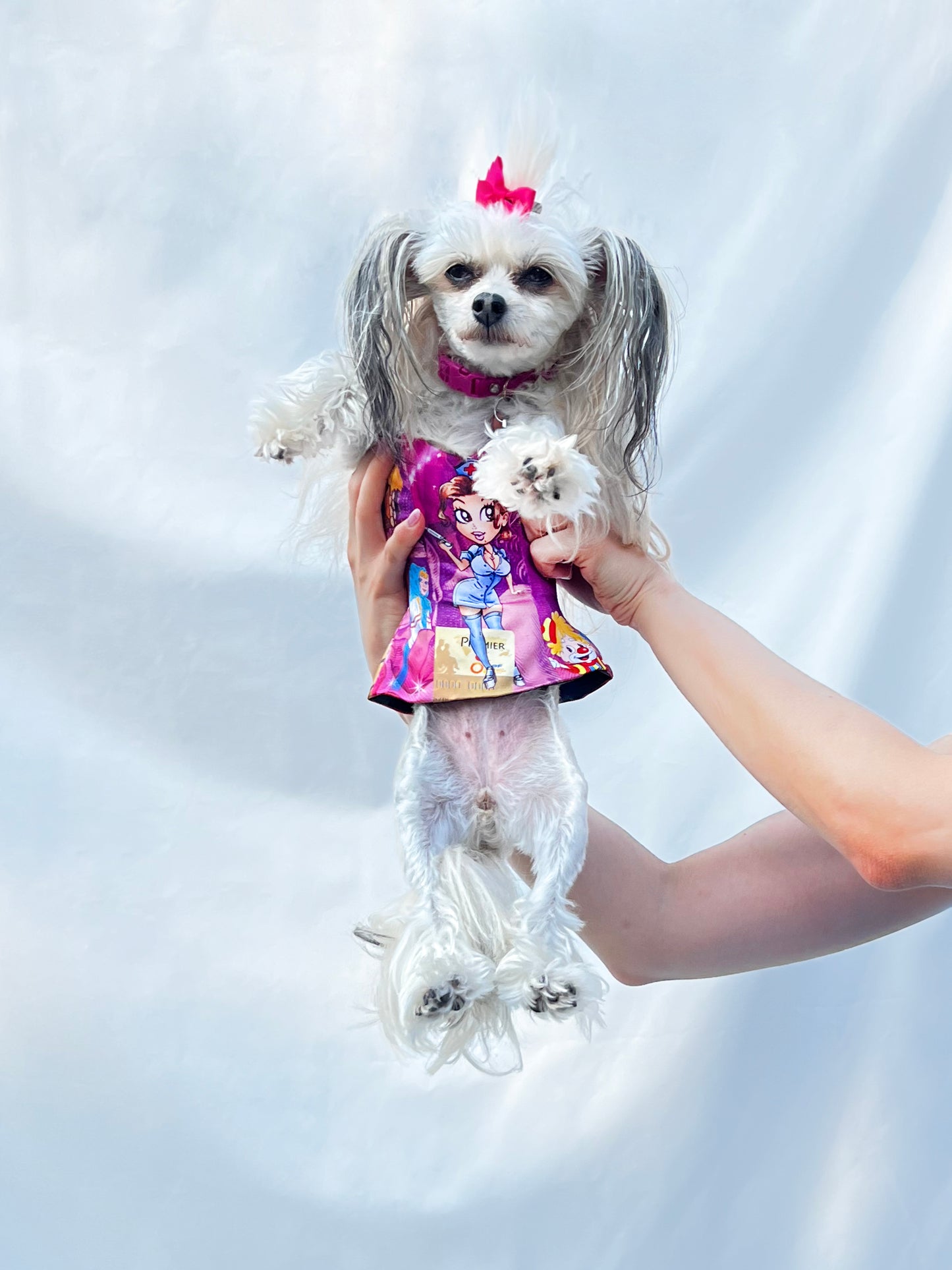 Penelope Pupper (Toy Dog) Corset